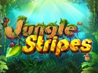 Jungle Stripes thumbnail