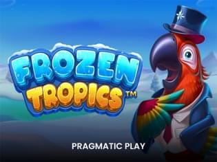 Frozen Tropics game cover